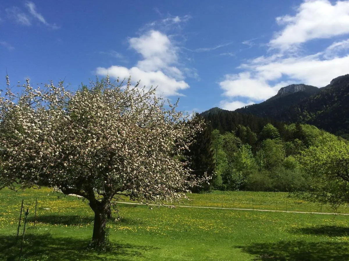 Apartment Ferienwohnungen Landinger Aschau im Chiemgau