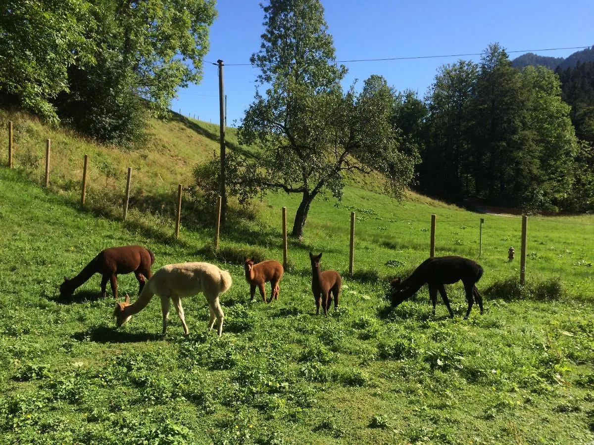 Apartment Ferienwohnungen Landinger Aschau im Chiemgau
