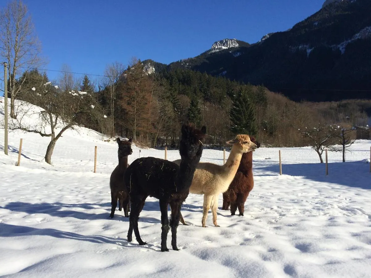 Ferienwohnungen Landinger Aschau im Chiemgau Germany
